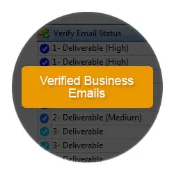 Verified Business Email Addresses